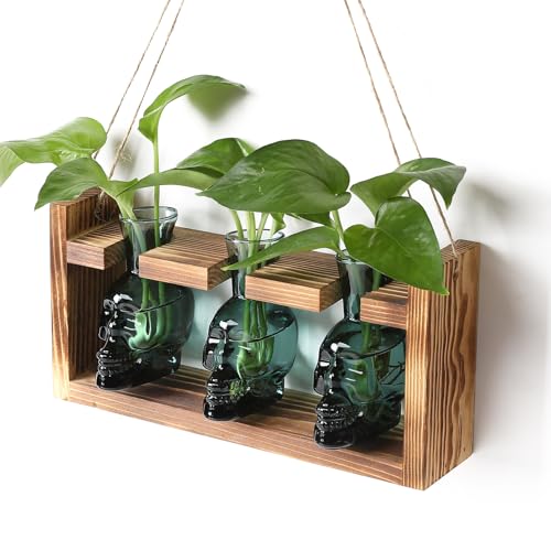 Plant Terrarium Propagation Stations Skull Planter Vase Skulls Decor - color: Dark Green