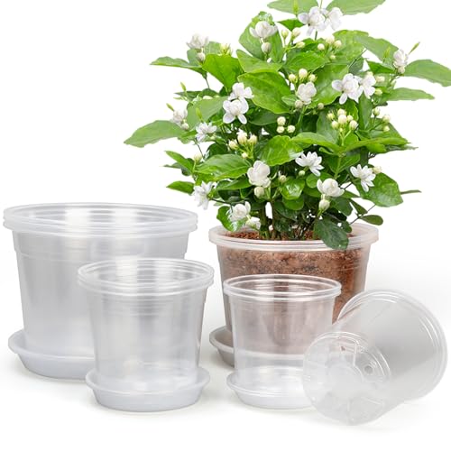 RAOOKIF 10/8/6/5 Inch Clear Nursery Pots with Drainage Hole and Saucers, 12 Pack Large Nursery Pots for Plants for Indoor Outdoor, Plastic Clear Plant Pots for Flowers, Succulents, Vegetables - size: 5/6/8/10inch-12pcs