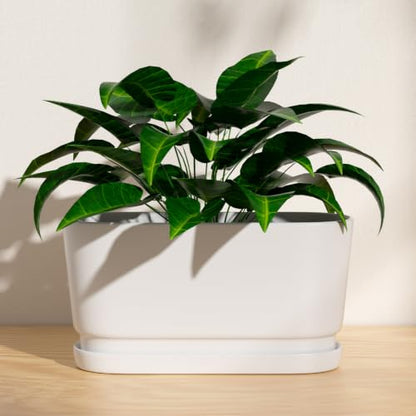 13" Rectangular Ceramic Planter with Drainage and Saucer, White - color: Matte White, size: Large