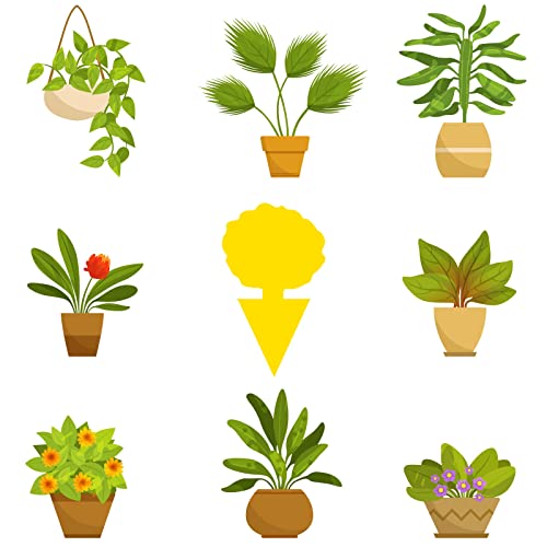 Fruit Fly Trap 48 Pack Yellow Sticky Gnat Killer Traps for Indoor Plants - size: 48 Packs