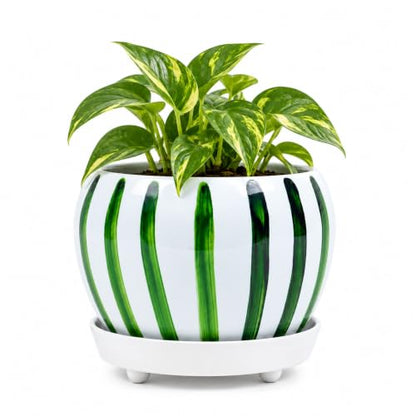 Folkulture Metal Planters for Indoor Plants with Drainage Hole & Saucer - color: Forest Green