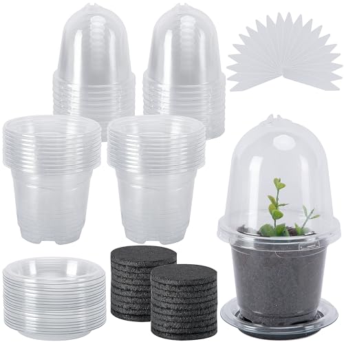 EBaokuup 20 Pack Self Watering Seed Starter Pot, 3 Inch Automatic Watering Plant Nursery Pots with Humidity Dome, Self Watering Nursery Pots for Potted Plants Seed Germination - color: 20 Pack-clear