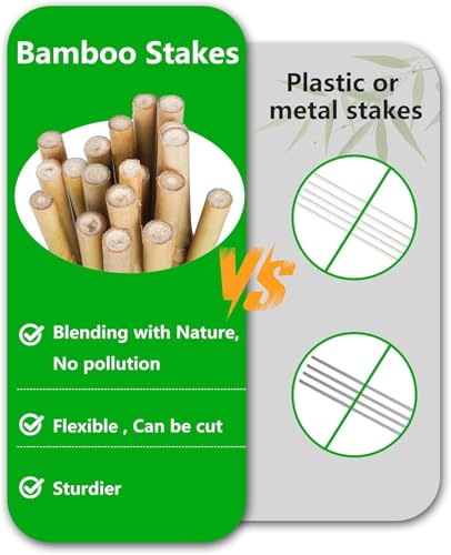 Natural Bamboo Plant Stakes (6ft-50pcs) - size: 6ft-50pcs