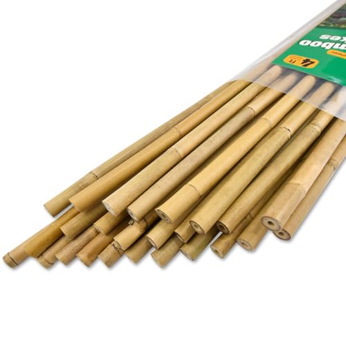 Jollybower 25pcs 1/2" D Thicker Heavy Duty Bamboo Stakes, 4FT Plant Stakes, Natural Garden Stakes for Tomato, Bean, Flowers,Trees Potted and Climbing Plant Support - size: 4Ft, Pack of 25