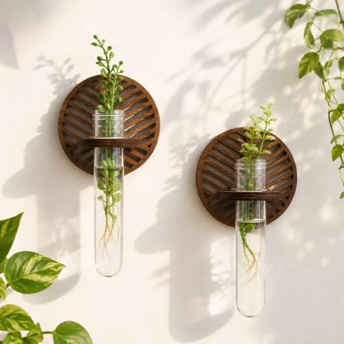 Artilady Plant Propagation Station Wall Hanging, Wood Arch Terrariums Tube - color: Round