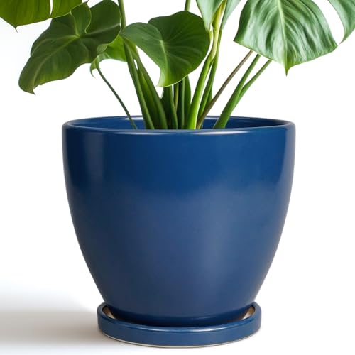 Ceramic Plant Pot - 8 Inch Planter for Indoor Outdoor Plants, Round Flower Pots with Drainage and Tray, Home Office Decor, Blue - color: Matte Blue, size: 8 Inch