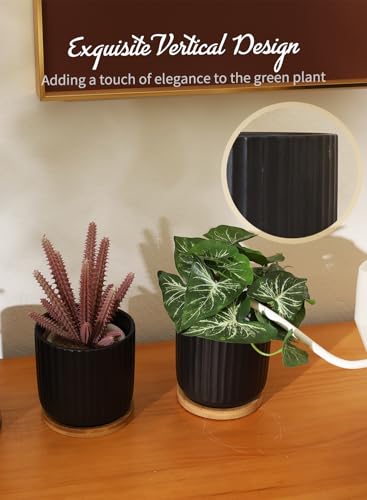 4 Inch Small Plant Pots Indoor, Ceramic Flower Pot with Drainage Hole and Tray, Modern Vertical Pattern Planter for Succulents, Snake Plant, Aloe, Herbs, Black, Set of 4 - color: Black(4inch)