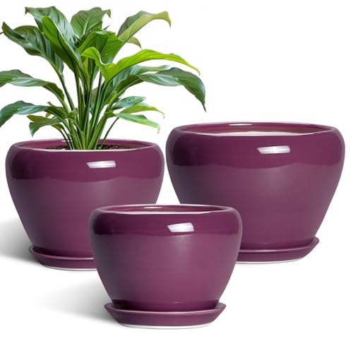10+8+6 Inch Ceramic Plant Pots, Ceramic Planter for Indoor Outdoor Plants, Round Planter with Drainage Holes and Saucers, Indoor Flower Pots, Room Decor, Housewarming Gift, Set of 3, Purple - color: Purple