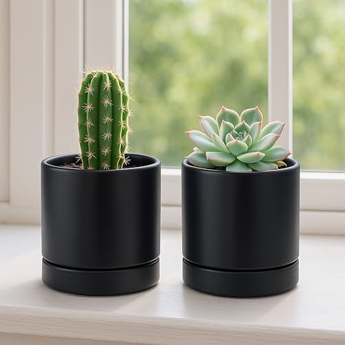 D'vine Dev 2-Pack Ceramic Pots with Saucers, Black, 4.7 in, 94-V-B-2 - color: Black, size: 4.7 Inch