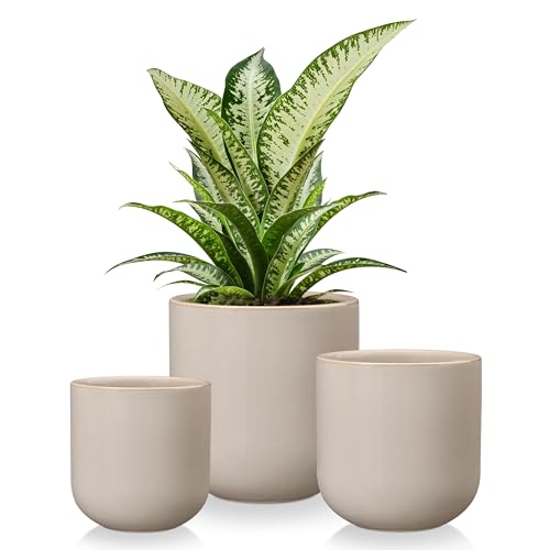 vancasso Ceramic Plant Pots, 4+5+6 inches, Set of 3, Planters with Drainage Hole, Flower Pots Planters Pots for Indoor Plants, Modern Indoor Decorative Garden Pot, Home Decor, Gray - color: Gray, size: 4+5+6 Inch