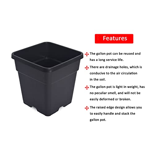 WFLNHB 8 Gallon 10 Pcs Square Plastic Plant Pots Flexible Nursery Pot Planter Nursery Pots Suitable for Flower Vegetables Succulents Black - color: Black, size: 8 Gallon-10 Pcs