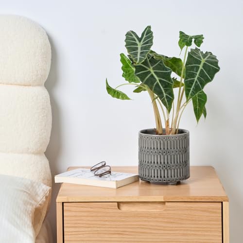 STHIE 5 Inch Ceramic Planters for Indoor Plants, Gray Snake Plant Pots - color: Reactive Glaze Grey