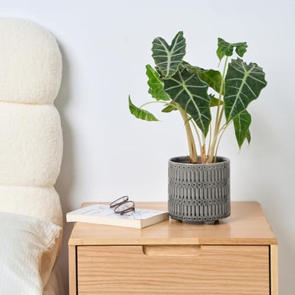 STHIE 5 Inch Ceramic Planters for Indoor Plants, Gray Snake Plant Pots - color: Reactive Glaze Grey