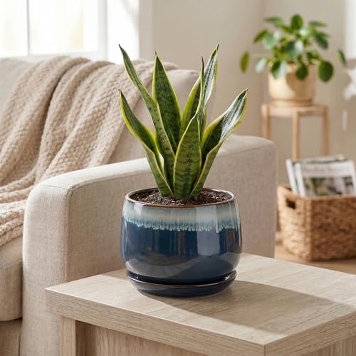 Ceramic Pots for Plants, 6 Inch Plant Pot Indoor, Retro Blue - size: 6 Inch, style: Retro