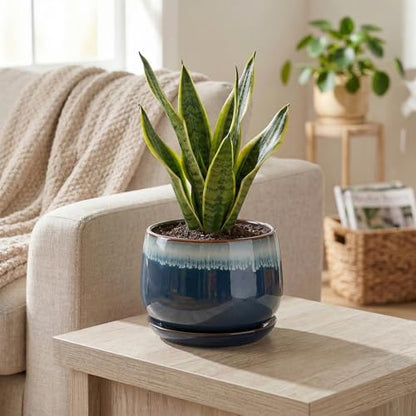 Ceramic Pots for Plants, 6 Inch Plant Pot Indoor, Retro Blue - size: 6 Inch, style: Retro