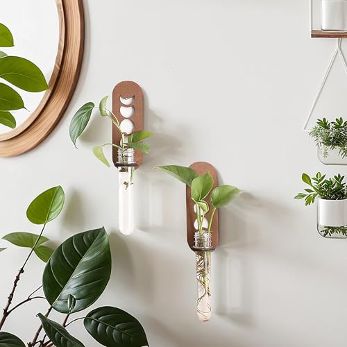 Artilady Plant Propagation Station Wall Hanging, Moon Phase Plant Terrarium - color: Moon Phase Wood