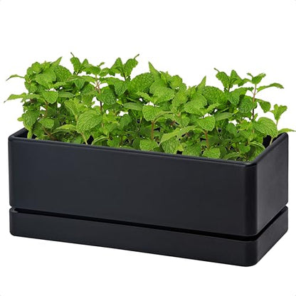 D'vine Dev Rectangular Planter, 12 x 4.5 in, Black, 76-X-B-1 - color: Black