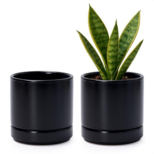 D'vine Dev 2-Pack Ceramic Pots with Saucers, Black, 4.7 in, 94-V-B-2 - color: Black, size: 4.7 Inch