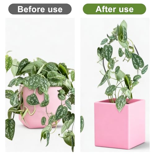 2Pcs Round Plant Trellis, Acrylic Small Trellis