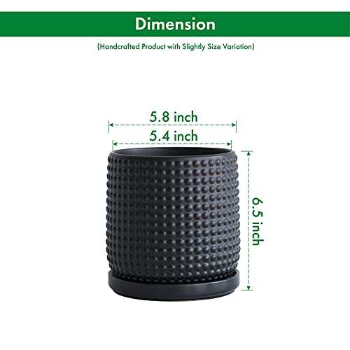 D'vine Dev Beaded Ceramic Pot with Saucer, 6 in, Ebony Matte, 27-C-X-6 - color: Ebony Matte, size: 5.8 Inch