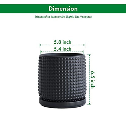 D'vine Dev Beaded Ceramic Pot with Saucer, 6 in, Ebony Matte, 27-C-X-6 - color: Ebony Matte, size: 5.8 Inch