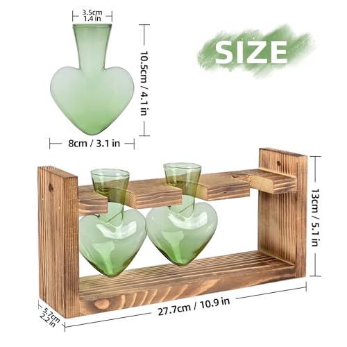 Plant Terrarium Propagation Stations Hydroponics - color: Green