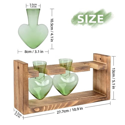Plant Terrarium Propagation Stations Hydroponics - color: Green