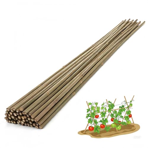 Bamboo Stakes,3Ft,65Pack,Bamboo Garden Stakes,for Tomato,Beans,Vegetable and Flowers, Potted Plants,Indoor and Outdoor Climbing Plants - size: 3Ft,65Pack