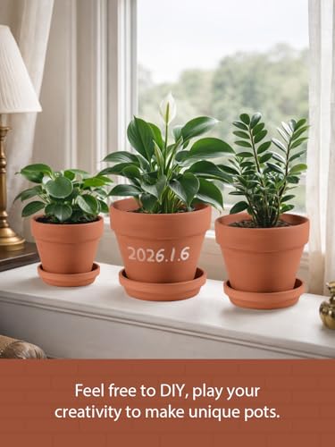 INGOFIN Terracotta Pots Set with Saucer - 5/6/7 inch Ceramic Clay Planters with Drainage Hole, Garden Flower Succulent Pots with Tray for Indoor Outdoor Plants, Set of 3 - size: 5/6/7 inch -3 pcs