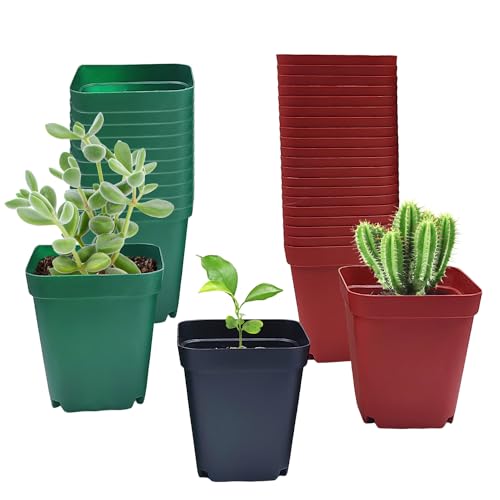 RooTrimmer Square Plastic Nursery Pot 3" 120 Pcs Deep Succulent Pots Small Flower Planter Seeds Starter Pots with Drainage (Green,Black,Red 40pcs Each,2.7Inches) - color: 3 Color, size: 2.7 Inch - 120pk