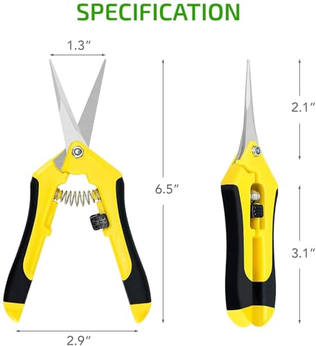 iPower 6.5'' 3 Pack Garden Hand Pruner Shears with Straight Stainless Steel Scissors, for Hydroponic Trimming Herb/Flowers/Vegetables/Plants, Yellow