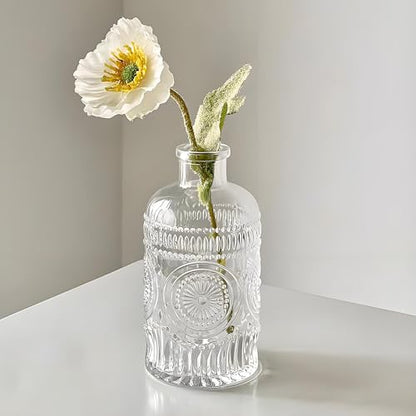 TIWPAJS 2Pcs Propagation Vases for Plants, Bud Vases, Small Glass Vase for Flowers, Home and Table Decor, Shelf, Desk, and Office