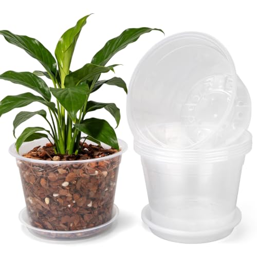 8 Inch Clear Nursery Pots with Saucers, 10 Pack Large Plastic Pot for Plant - size: 8inch-10pcs