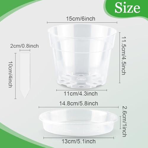BTPLASTIK Clear Plastic Nursery Pots for Plants, 6 Inch Transparent Plant Pot with Drainage Holes, Flower Pots with Saucers, Seed Starter Pots with 15 Pcs Plant Labels, Gardening Gifts - size: 6 Inch-15P
