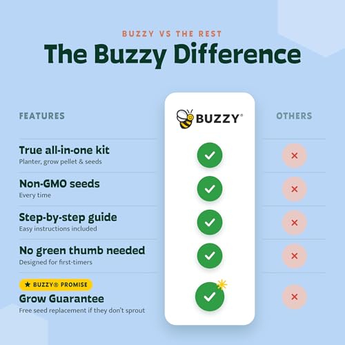 BUZZY Seeds Holiday Sweater Grow Kit 12-Pack, Terracotta Pots, Assorted - color: 12pk Daisy