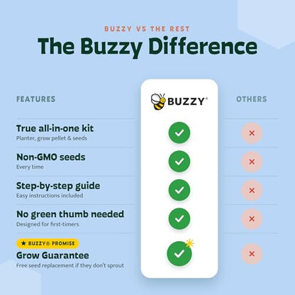 BUZZY Seeds Holiday Spruce Grow Kit 12-Pack, Terracotta Pots, Tree Gift - color: 12pk Holiday Spruce