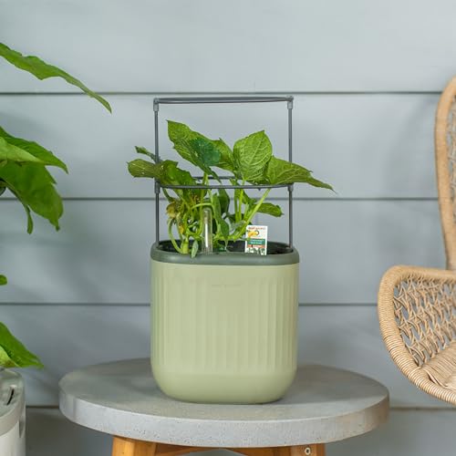 Vego garden Mini Planter Indoor Pots with Trellis Self-Watering Herb Countertop Planter for Climbing Vegetables Flowers Mint Plants Cage- Sage Green - color: Sage Green, size: 1 Pack