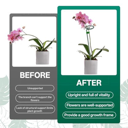 6 Pack 24 in Extendable Plant Support Stakes for Outdoor Plants and Flowers