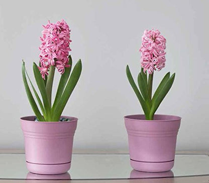 Bloem SP0712 Saturn Planter, 7-Inch, Union Red - color: Union Red, size: 7"
