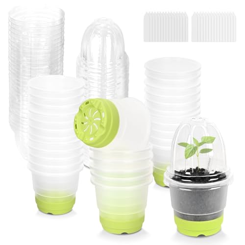 Sckee Clear Nursery Pots for Plants, 30 Packs Plastic Seed Starting Pots with Drainage Holes Plant Nursery Pots Silicone Base (Light Green, 4 inch with lids) - color: Light Green, size: 4 inch with lids