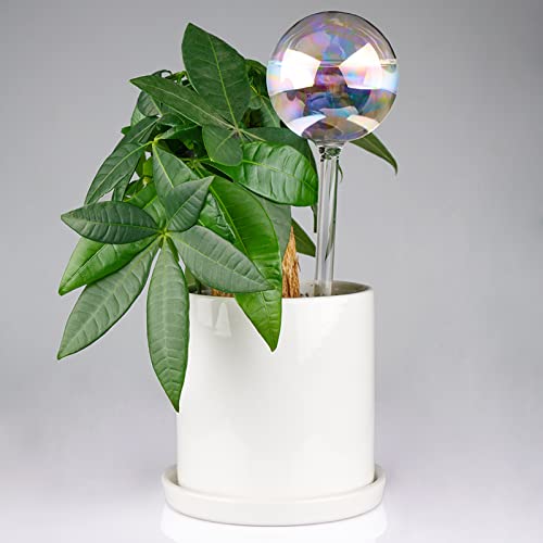 Tomorotec 3Pcs Rainbow Glass Plant Watering Globes, Self Watering Spikes - color: Iridescent 3-Pack