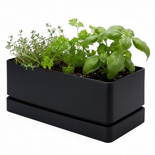 D'vine Dev Rectangular Planter, 12 x 6.5 in, Black, 76-P-B-1 - color: Black