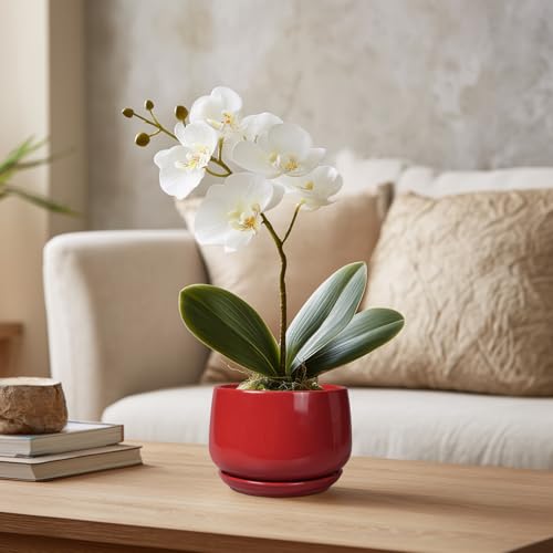 G EPGardening Ceramic Pots for Plants, 4 Inch Succulent Pots, Red - color: Red, size: 4 Inch
