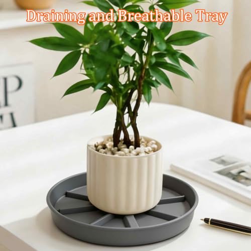 2Pcs 6 Inch Plant Saucer Drip Tray, Clear Plastic Flower Pot Saucers, Thicker Anti-Rot Root Water Catcher Tray for Indoor Outdoor Planters, Heavy Sturdy Pot Base Plate Grey - color: Gray