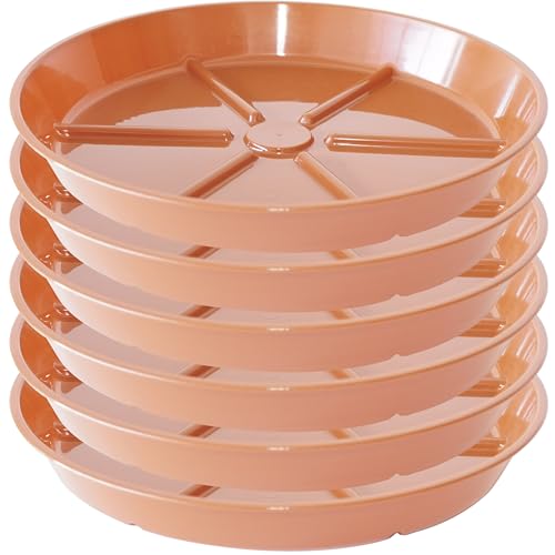 Plant Saucer Pot Tray 5 inch, 6 Packs Flower Planter Saucers and Drip Trays, Durable Round Plastic Flower Plant Water Drip Tray for Pots Planter, Terracotta - color: Terracotta, size: 5" - 6 Pack