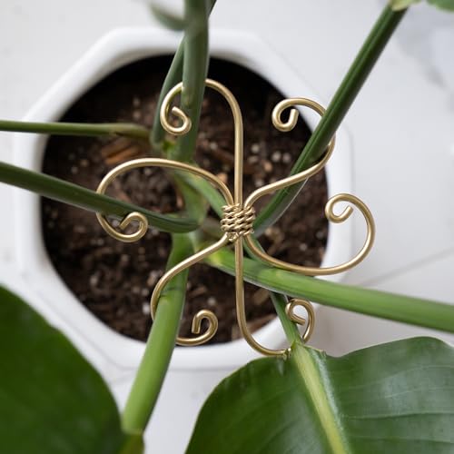 5PCS Plant Stem Support-4.1 * 4.1IN Gold Metal Stem Stabilizers - size: 4.1*4.1IN