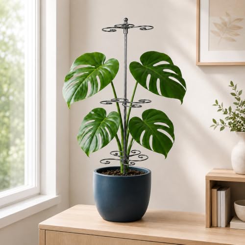 GOOXIM Monstera Support 24" Heavy Duty Black Plant Stakes for Indoor Growth - color: Black
