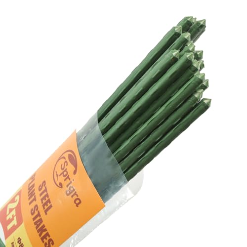 Plant Stakes 24 inch, 2ft Steel Garden Stakes 30 Pack, Sturdy Plant Support for Climbing Plants, Tomatoes, Beans, Cucumbers, Peppers, Flowers, Potted, Strengthen and Stem to Grow Better - size: 2FT, 30 of pack