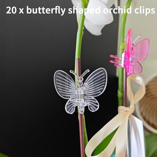 80 Pcs Orchid Clips Butterfly Dragonfly Shaped Plant Clips Flower Plant Support Clip for Garden Vine Stem Plants Climbing Clasp Plant Orchid Clip, Transparent, 3 Styles