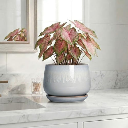 7 Inch Planter Indoor, Ceramic Pots for Plants, Grey-White - size: 7 Inch, style: Grey-white